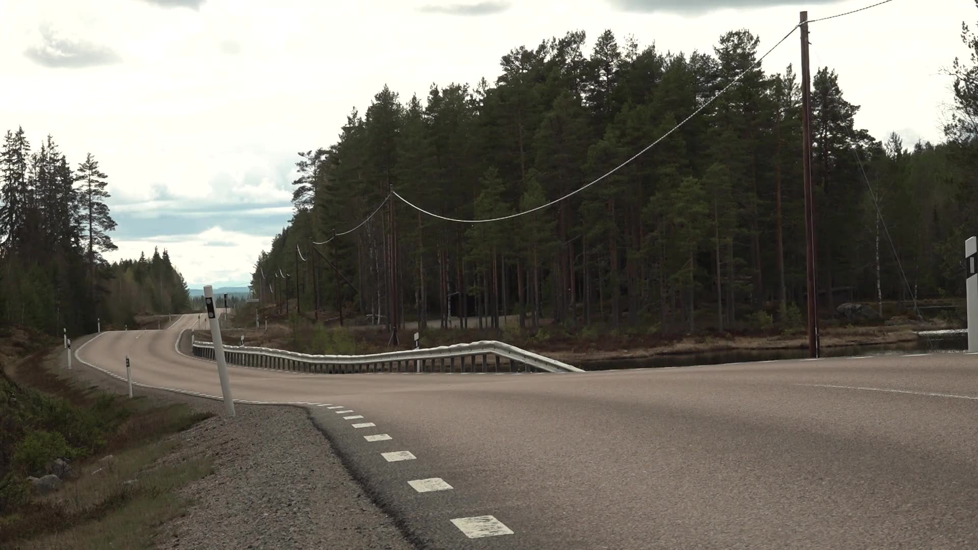 Vargar spårlöst försvunna i Värmland och Dalarna